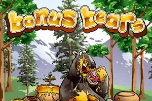 Playtech : Bonus Bears - BIROPAY28